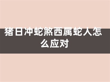 猪日冲蛇煞西属蛇人怎么应对
