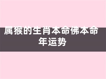 属猴的生肖本命佛本命年运势