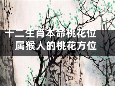 十二生肖本命桃花位 属猴人的桃花方位