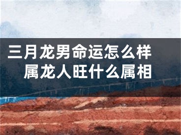 三月龙男命运怎么样 属龙人旺什么属相