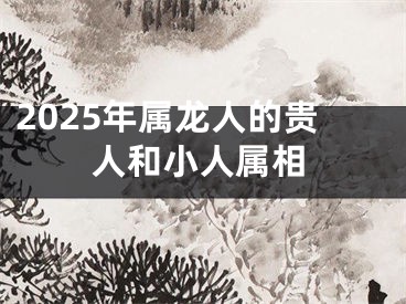 2025年属龙人的贵人和小人属相