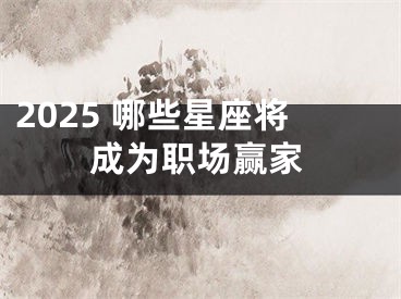 2025 哪些星座将成为职场赢家