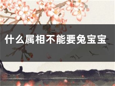 什么属相不能要兔宝宝