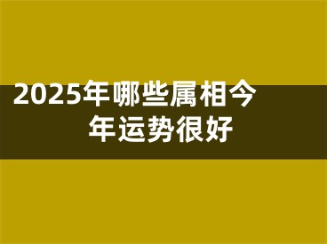 2025年哪些属相今年运势很好