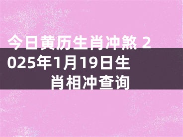 今日黄历生肖冲煞 2025年1月19日生肖相冲查询
