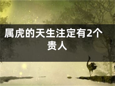 属虎的天生注定有2个贵人