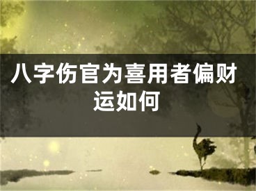 八字伤官为喜用者偏财运如何