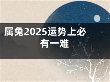 属兔2025运势上必有一难