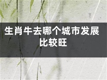 生肖牛去哪个城市发展比较旺