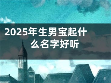 2025年生男宝起什么名字好听