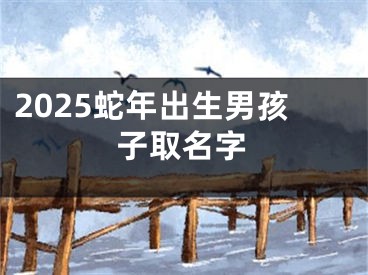 2025蛇年出生男孩子取名字