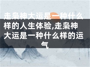 走枭神大运是一种什么样的人生体验,走枭神大运是一种什么样的运气