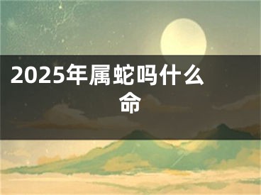 2025年属蛇吗什么命