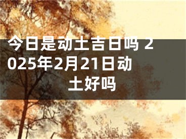 今日是动土吉日吗 2025年2月21日动土好吗