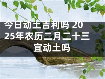 今日动土吉利吗 2025年农历二月二十三宜动土吗