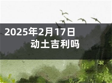 2025年2月17日动土吉利吗