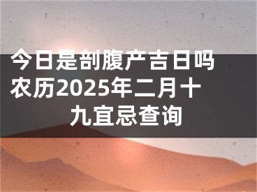 今日是剖腹产吉日吗 农历2025年二月十九宜忌查询