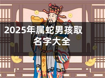 2025年属蛇男孩取名字大全