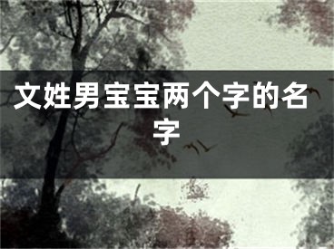 文姓男宝宝两个字的名字