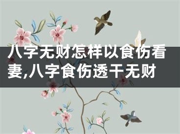 八字无财怎样以食伤看妻,八字食伤透干无财