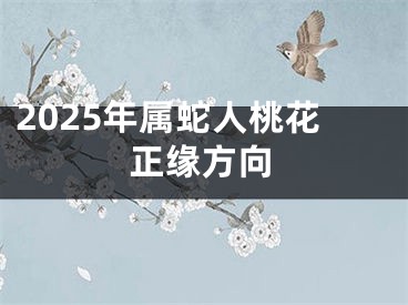 2025年属蛇人桃花正缘方向