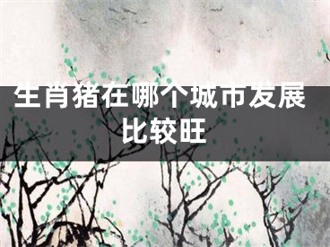 生肖猪在哪个城市发展比较旺