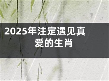 2025年注定遇见真爱的生肖