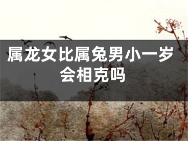 属龙女比属兔男小一岁会相克吗