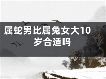 属蛇男比属兔女大10岁合适吗