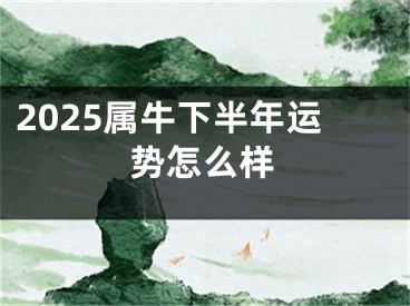 2025属牛下半年运势怎么样