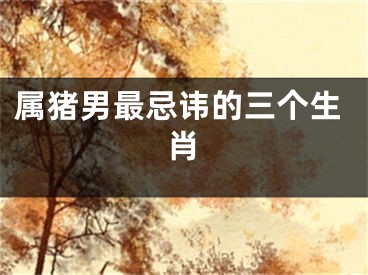 属猪男最忌讳的三个生肖