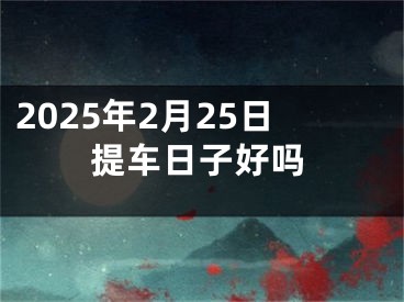 2025年2月25日提车日子好吗