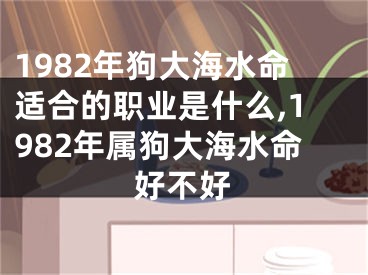 1982年狗大海水命适合的职业是什么,1982年属狗大海水命好不好