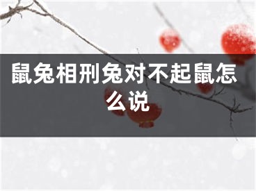 鼠兔相刑兔对不起鼠怎么说