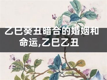 乙巳癸丑暗合的婚姻和命运,乙巳乙丑