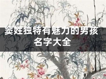 窦姓独特有魅力的男孩名字大全