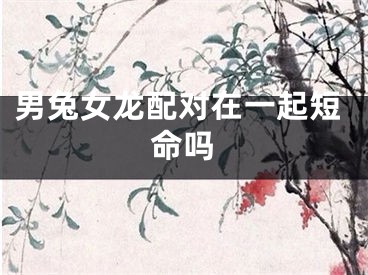 男兔女龙配对在一起短命吗