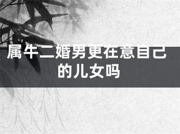 属牛二婚男更在意自己的儿女吗