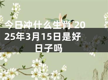 今日冲什么生肖 2025年3月15日是好日子吗 