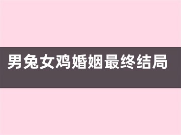 男兔女鸡婚姻最终结局