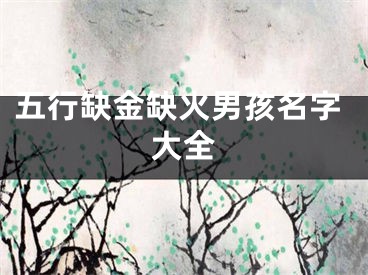 五行缺金缺火男孩名字大全