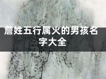詹姓五行属火的男孩名字大全
