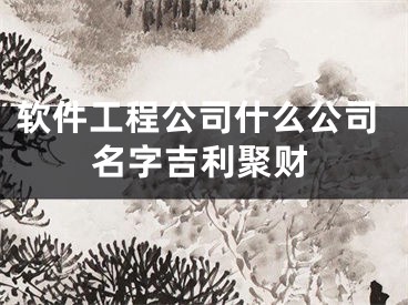 软件工程公司什么公司名字吉利聚财