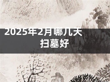 2025年2月哪几天扫墓好