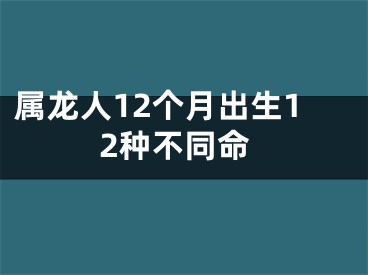 属龙人12个月出生12种不同命