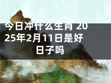 今日冲什么生肖 2025年2月11日是好日子吗 