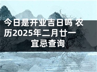 今日是开业吉日吗 农历2025年二月廿一宜忌查询