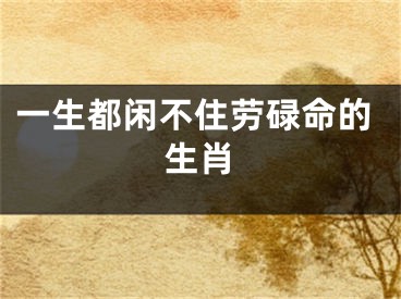 一生都闲不住劳碌命的生肖