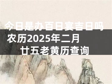 今日是办百日宴吉日吗 农历2025年二月廿五老黄历查询