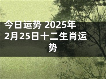 今日运势 2025年2月25日十二生肖运势